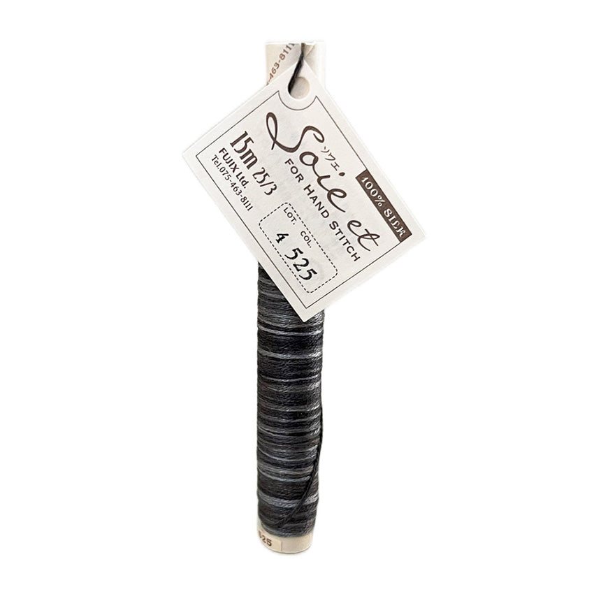 Soie et Silk Embroidery Floss - Variegated # 525 - Charcoal to Black