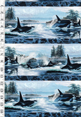 *Fabric Art - Northcott NATURESCAPES VOYAGE (Orcas) - Border Stripe (6 inch) - DP29116-48 - By the Half Yard