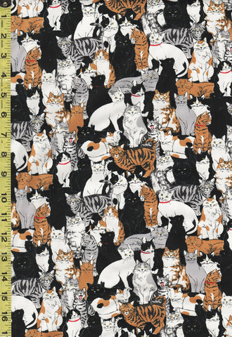 *Japanese - Novelty - Cosmo Small Compact Cats - Oxford Cloth - AP41401-1E - Black