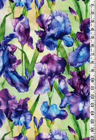 Fabric Art - Northcott Infatuation - Iris Feature - DP-28613-74 - Green - Yellow - Multi - By the Half Yard