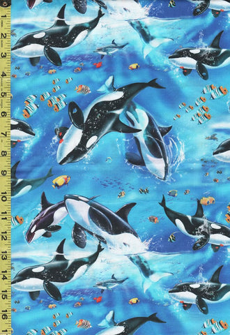 *Tropical - Reef Life - Playful Orcas & Small Colorful Fish - 5754-17 - Blue - Last 2 3/4 Yards