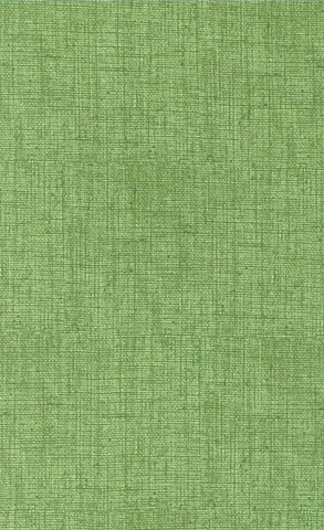 *Blender - Timeless Treasures - Linen Look Solid - C7200 - FERN - By the Half Yard