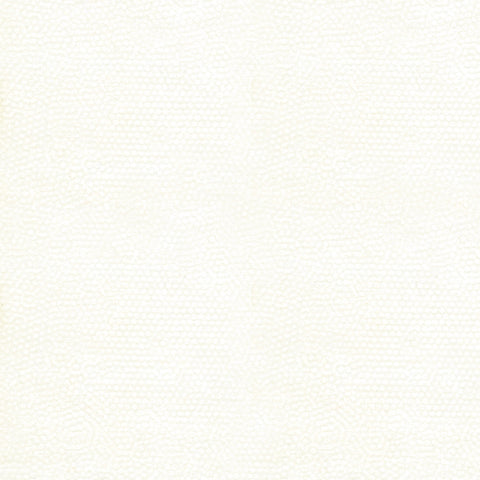 Blender - Andover Dimples WW - White on White (Creamy White) - Last 1 1/3 yards