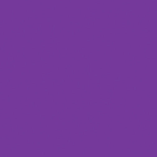 Solid Color Fabric - Benartex Superior Solid - 3000B-65 - PLUM - By the Half Yard