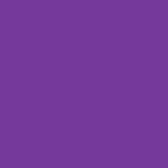 Solid Color Fabric - Benartex Superior Solid - 3000B-65 - PLUM - By the Half Yard