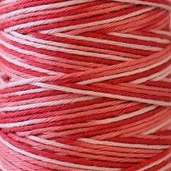 Sashiko Thread - Hidamari - LEN89-402 - Variegated - GOLDFISH