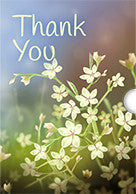 SHIBORI DRAGON GIFT CARD