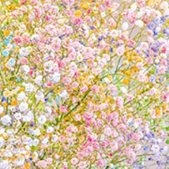 Olympus Garden Party - Floss Sampler Assortment - GPC-15 - SWEET PASTELS - Lavender, Yellow, Pink, Orange, Aqua, Blue, Green