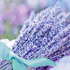 Olympus Garden Party - Floss Sampler Assortment - GPC-17 - RELEAX - Lavender, Mauve, Aqua, Blue, Peach, Coral