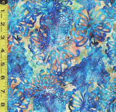 *Tropical - Valencia - Compact Chrysanthemums - 29033-B - Blue & Tan