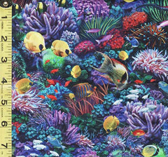 *Tropical - Treasures at Sea - Compact Sea Life - 29920-X - Multi-Colors