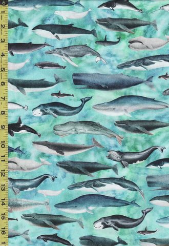 Nautical - Siren's Call - Whales - 29993-Q - Green, Aqua, Teal