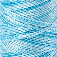 Aurifil 12wt Cotton Thread - 54 yards - 4663 Baby Blue Eyes - Variegated