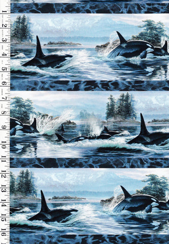 *Fabric Art - Northcott NATURESCAPES VOYAGE (Orcas) - Border Stripe (6 inch) - DP29116-48 - By the Half Yard