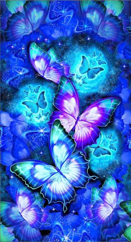 *Novelty- Timeless Treasures - Midnight Butterfly - CD1834 - PANEL