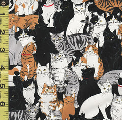 *Japanese - Novelty - Cosmo Small Compact Cats - Oxford Cloth - AP41401-1E - Black