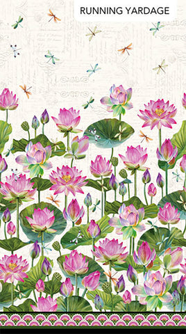 Asian - Northcott Water Lilies - Water Lily and Dragonfly Border Stripe - DP25055-11 - White