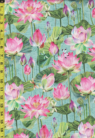 Asian - Northcott Water Lilies - Lotus Blossoms & Lily Pads - DP25057-64 - Aqua