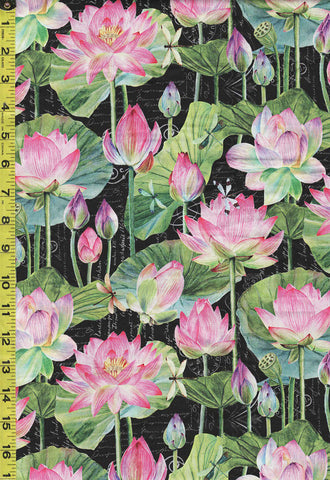 Asian - Northcott Water Lilies - Lotus Blossoms & Lily Pads - DP25057-99 - Black