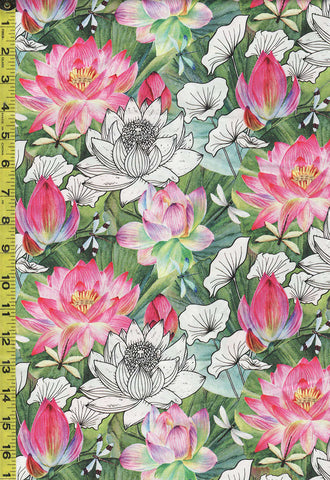 Asian - Northcott Water Lilies - Compact Lotus Blossoms & Lily Pads - DP25058-99 - Multi