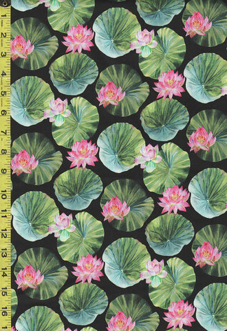 Asian - Northcott Water Lilies - Floating Lily Pads & Lotus Blossoms - DP25059-99 - Black