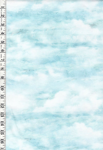*Fabric Art - Northcott SMOOTH SAILING - CLOUDS - DP28910-42 - Light Blue - By the Half Yard