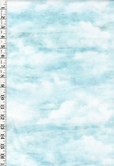*Fabric Art - Northcott SMOOTH SAILING - CLOUDS - DP28910-42 - Light Blue - By the Half Yard