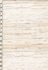 *Fabric Art - Northcott SMOOTH SAILING - SAND TEXTURE - DP28913-12 - Beige - By the Half Yard