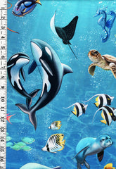 *Tropical - Jewels of the Sea - Discovery Cove - Sea World - DDC11489-Multi