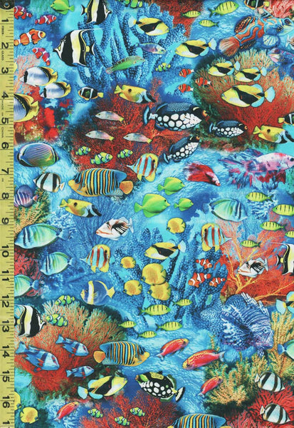 *Tropical - Jewels of the Sea - Small Colorful Fish & Coral - DCX11131 ...