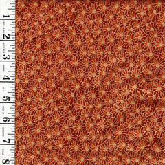 Asian - Kona Bay - Small Compact Daisies - MIKO-03 - Last 1 yard - Brown