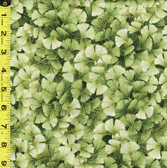 Asian - Kyoto Garden - Small Compact Ginkgo Leaves - CM1672 - GREEN