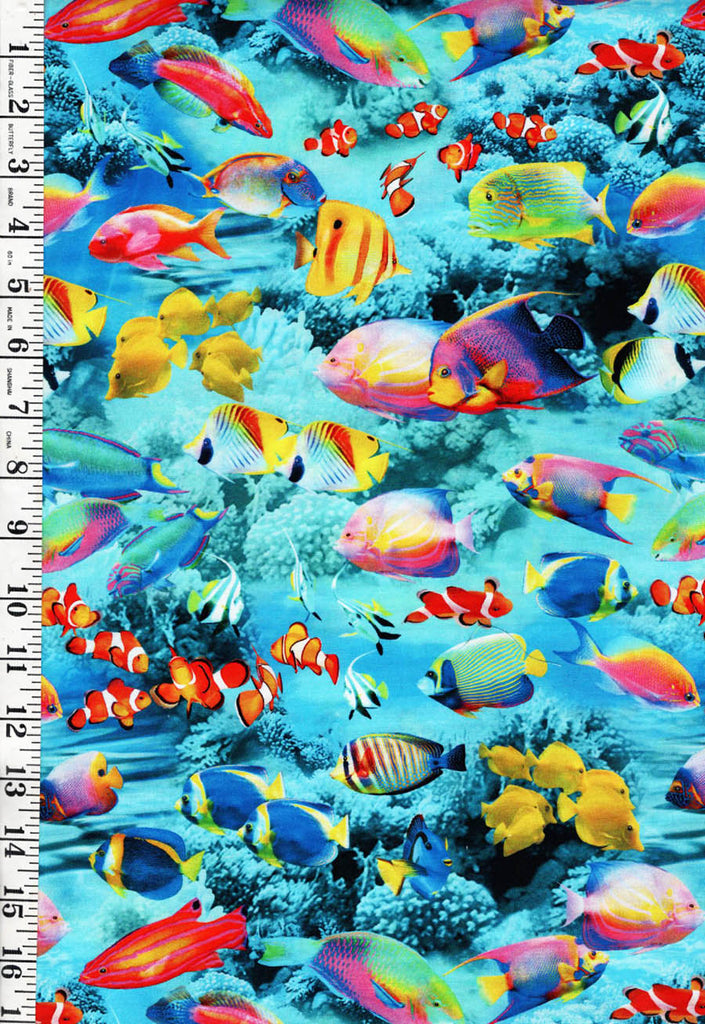 *Tropical - Ocean Life - Colorful Ocean Fish & Coral - CD1973 - Multi