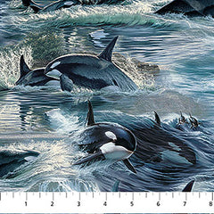 *Fabric Art - Northcott NATURESCAPES VOYAGE (Orcas) - Orcas & Waves - DP29117-48 - Blue-Multi - By the Half Yard