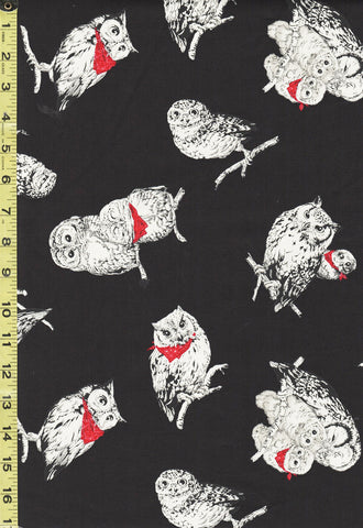 *Japanese - Novelty - Cosmo Owls with Bandanas - Oxford Cloth - AP-41401-2C - Black