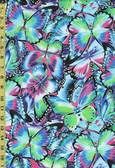 *Tropical - Nature's Studies - Compact Colorful Butterflies - SRKD-18708-201 - Jewel