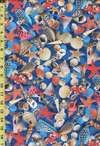 *Tropical - Jewels of the Sea - Colorful Seashell Mix - DCX11124-COBA-D