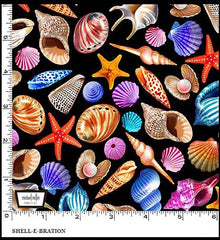 *Tropical - Jewels of the Sea - Small Colorful Seashells - Shell-E-Bration - DDC11487-BLACK-D