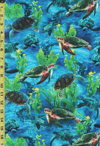 *Tropical - Jewels of the Sea - Turtles & Seaweed - DCX11132-SEAW-D