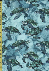 *Tropical - Northcott Sea Breeze - Swimming Turtles - DP27097-44 - Blue Multi