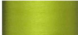 Fujix (Tire) Brand Silk Thread - 50wt - # 096 Lime Green