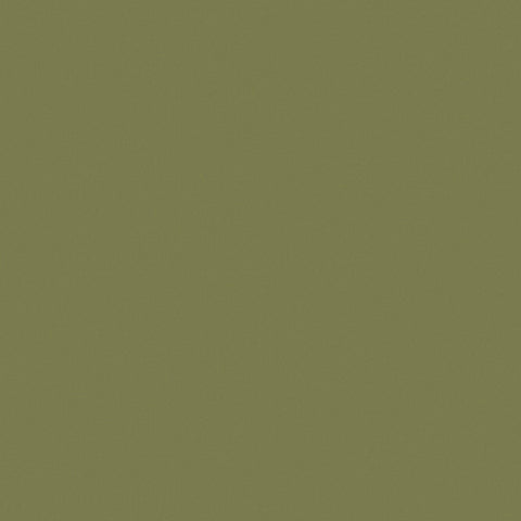 Solid Color Fabric - Benartex Superior Solid - 3000B-39 - FERN (Olive Green/ Army Khaki)