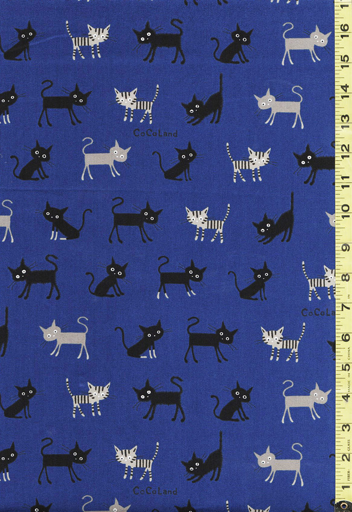 Japanese Novelty - Cocoland Wide Eye Electrified SMALL Cats - Oxford Cloth - CO-10002-2C - ROYAL BLUE