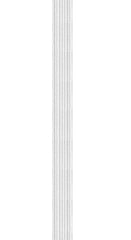 Notions -  Braided Elastic - 1/4 inch - White