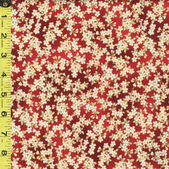*Asian - Kyoto Garden - Compact Tiny Delicate Blossoms - CM1673 - RED