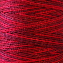 Sashiko Thread - Hidamari - LEN89-401 - Variegated - CRANBERRY RED