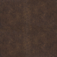 Blender - Dimples N9 - Cafe Noir