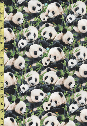 Asian - Panda Family in Bamboo - 1329 - Black - ON SALE - Save 20% - By the Yard