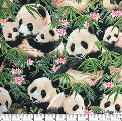 Asian - Panda Family, Little Pink Flowers & Bamboo Leaves - 1230 - Black - ON SALE - SAVE 20% - By the Yard