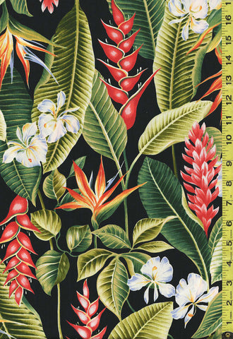 *Tropical - Floral Tropical Jungle with Bird of Paradise, Orchids and Heliconia - NS-504R - Black